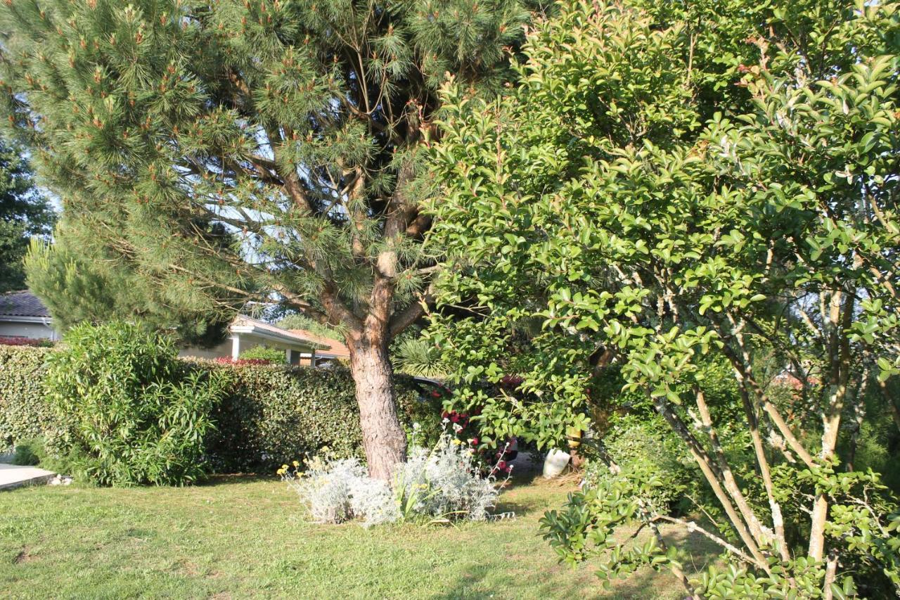 Chez Sophie Lège-Cap-Ferret Exterior foto